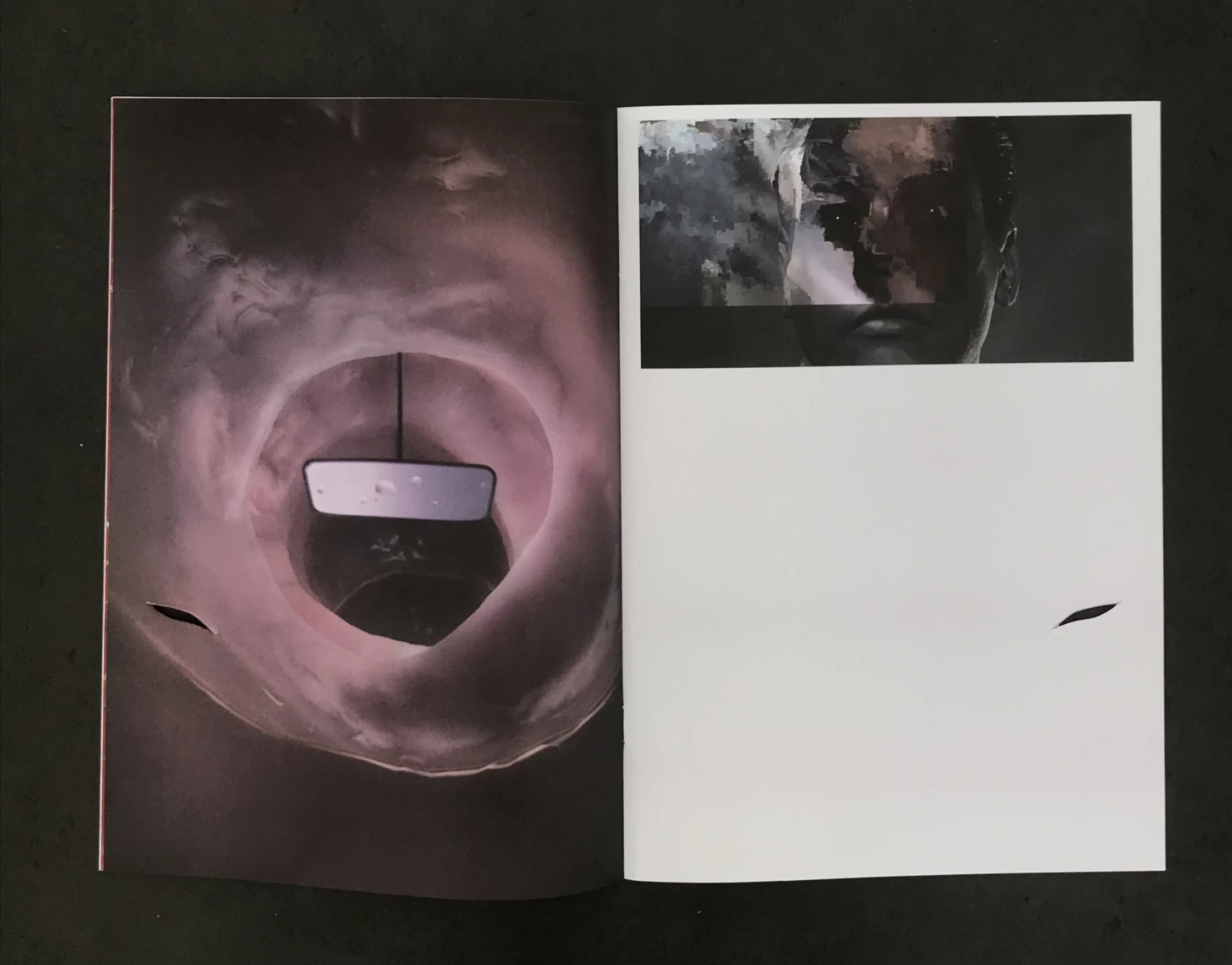 Sleep No More (publication)